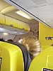 DSCN1805.jpg DSCN1805.jpg