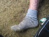 IMG_4177.jpg IMG_4177.jpg