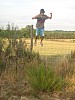 IMG_4218.jpg IMG_4218.jpg
