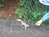 IMG_4238.jpg IMG_4238.jpg