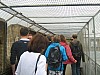 IMG_4255.jpg IMG_4255.jpg