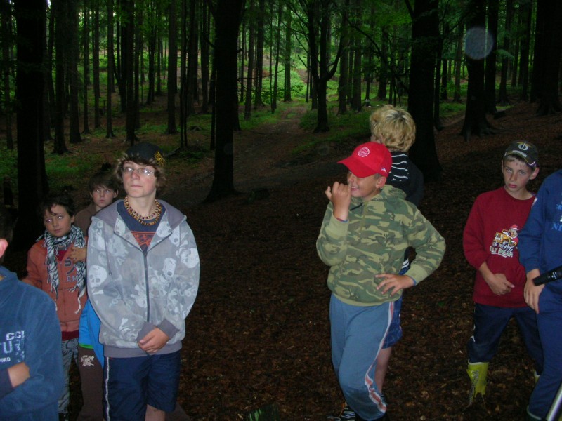 DSCN7749.jpg