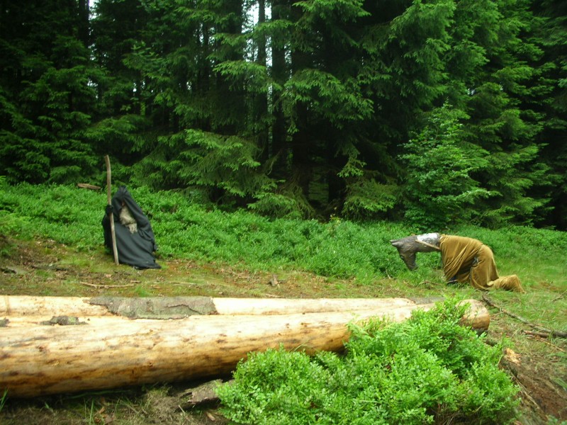 DSCN7796.jpg