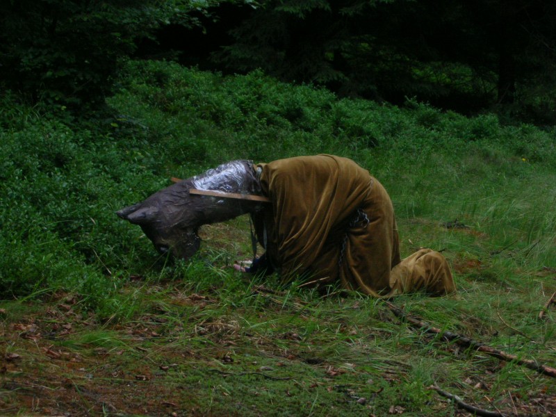 DSCN7800.jpg