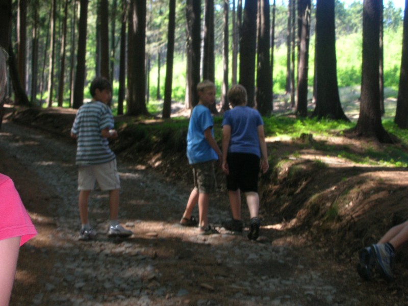 DSCN7912.jpg