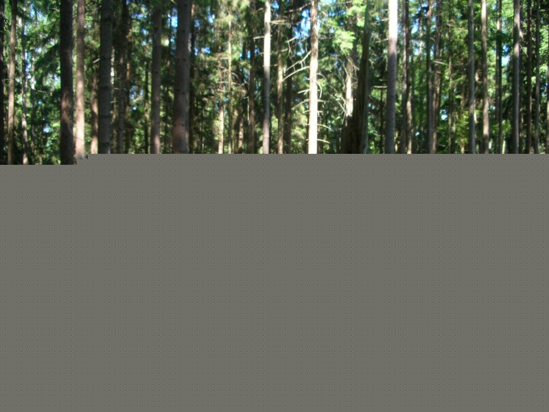 DSCN7928.jpg