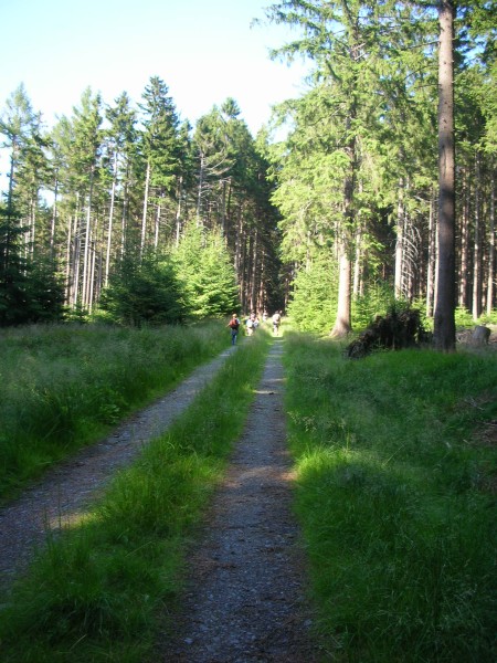 DSCN7951.jpg