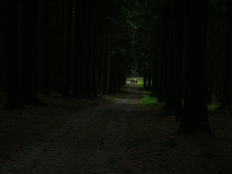 DSCN7992.jpg