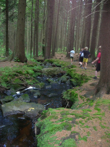 DSCN8008.jpg