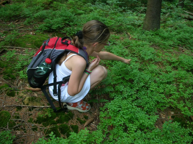 DSCN8012.jpg