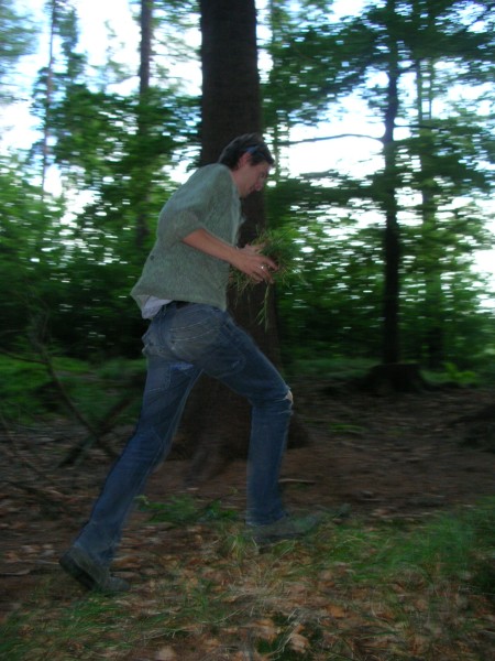DSCN8482.jpg