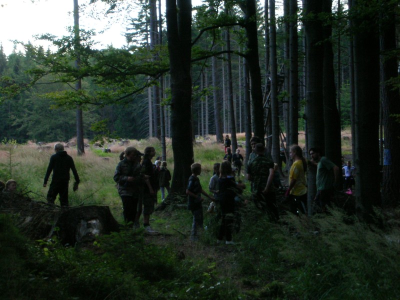 DSCN8494.jpg