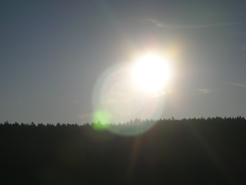 DSCN8539.jpg