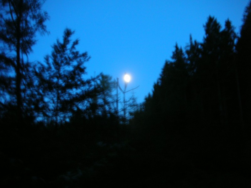 DSCN8587.jpg