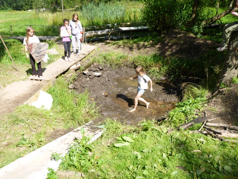 P1010329.jpg