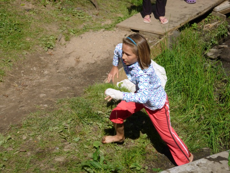 P1010332.jpg