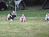 P1000318.jpg